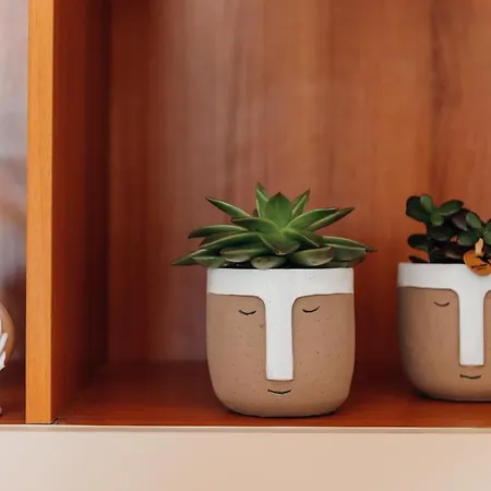 Casa Fico D'india - Salentria *