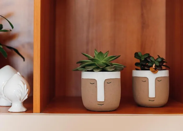 Casa Fico D'india - Salentria *